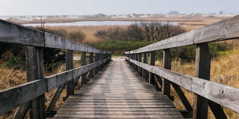 小罗马应用:您的罗马美食与景点探索终极数字指南