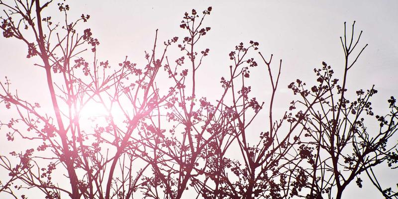 小罗马文学地图：追随《罗马假日》与经典文学足迹的自由行定制指南