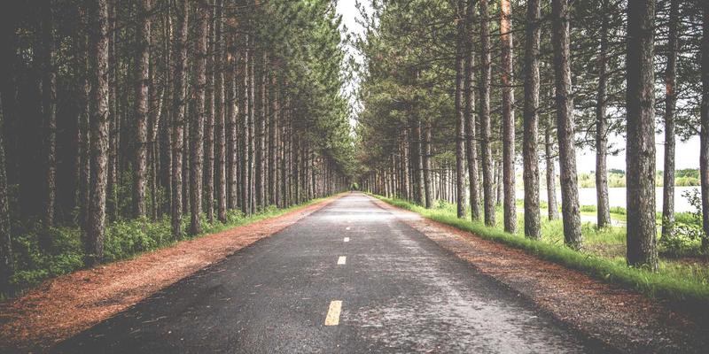 小罗马文艺复兴艺术探秘：从法尔内西纳别墅到斯帕达画廊的湿壁画与美食之旅