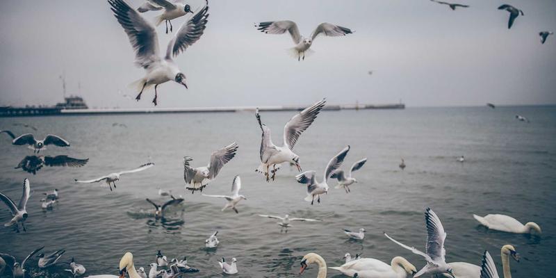 小罗马自由行定制攻略：探索手工艺品、时尚品牌与本地市场的隐藏瑰宝