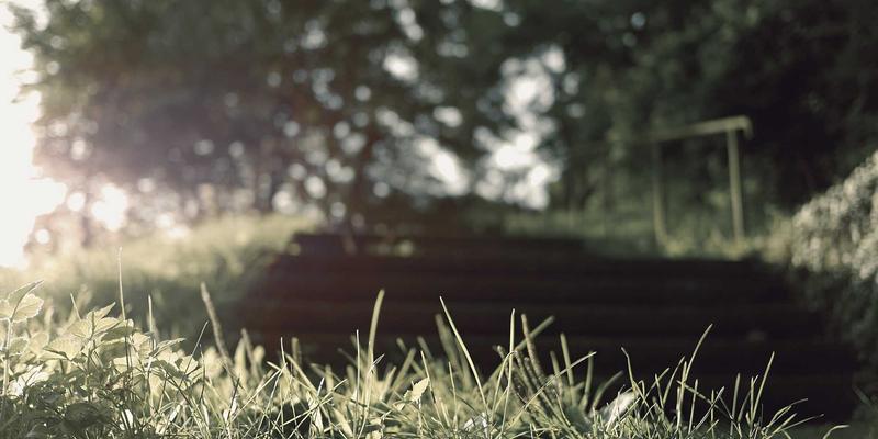 罗马市集考古现场深度解读：从图拉真市场探秘古罗马美食与自由行定制攻略