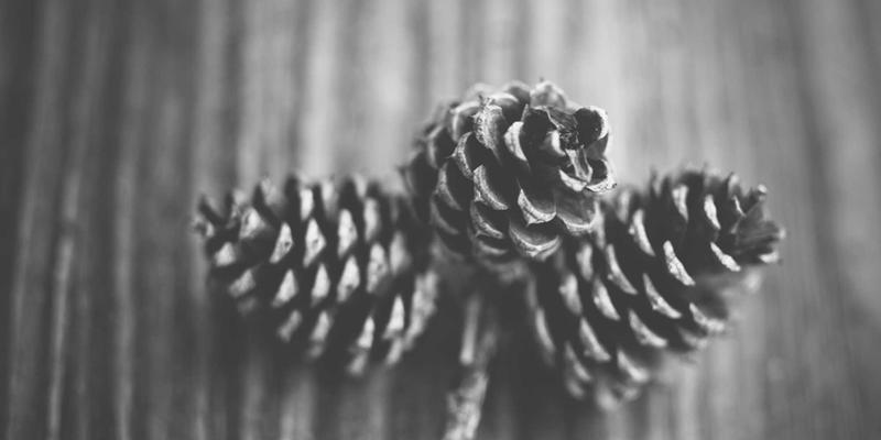 罗马旅游深度攻略：探秘小罗马地下秘境，圣卡利斯托与普里西拉墓穴的早期基督教艺术