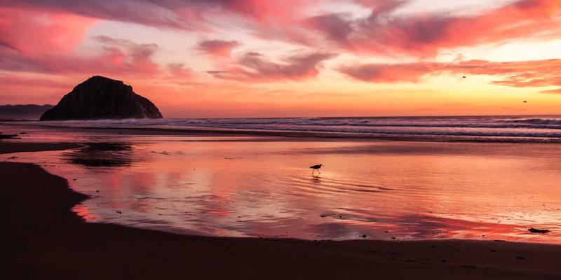 罗马自由行定制：探秘地下墓穴与早期基督教遗迹的隐秘路线，品味地道罗马美食