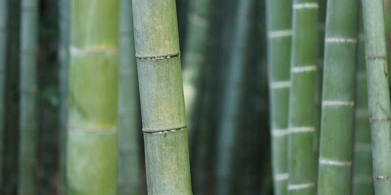 罗马自由行定制攻略：自驾探秘周边中世纪山城，从天空之城到圣吉米尼亚诺