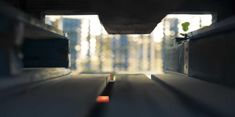 罗马自由行定制攻略：解锁清晨与夜晚的专属古迹游览时段，巧妙避开人潮