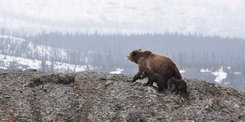 罗马自由行定制：追随卡拉瓦乔的足迹，探访三座教堂中的惊世画作与美食之旅